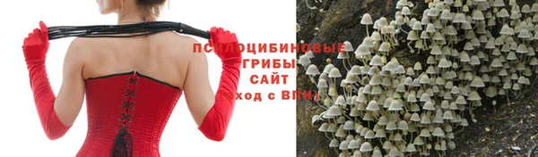 трава Лабытнанги