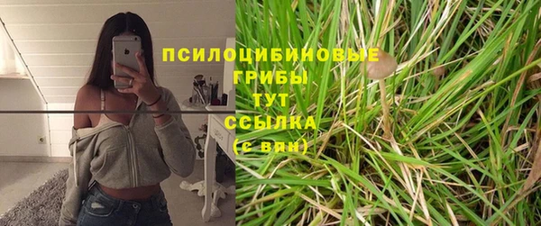 трава Лабытнанги