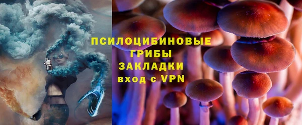 ешки Лагань